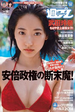 赞美夏天的优美句子大全